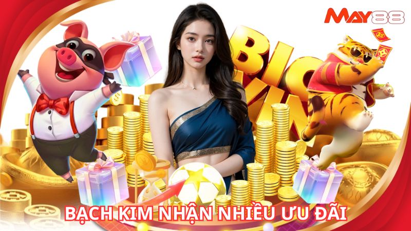 Bạch Kim nhận về nhiều ưu đãi cực hấp dẫn