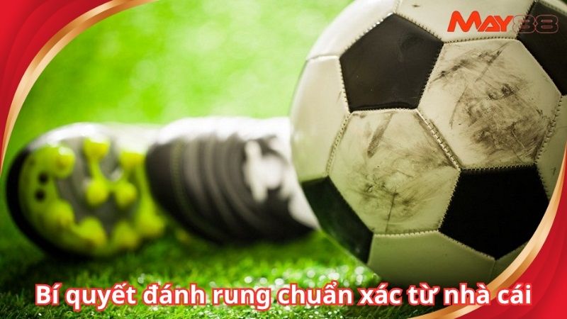 Bí quyết đánh rung chuẩn xác từ nhà cái