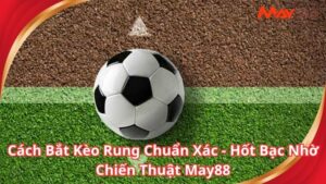 Cách Bắt Kèo Rung Chuẩn Xác - Hốt Bạc Nhờ Chiến Thuật May88
