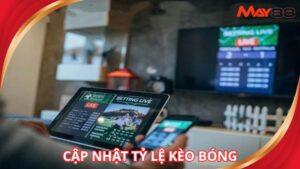 Cập nhật tỷ lệ kèo bóng đá
