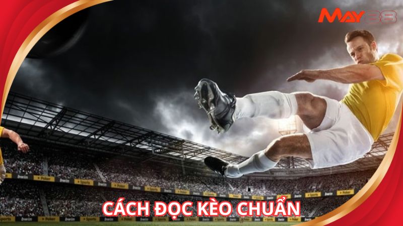Nắm cách đọc kèo để tham gia hiệu quả hơn