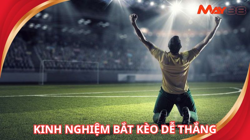 Vận dụng mẹo chơi cá cược hiệu quả từ dân chuyên